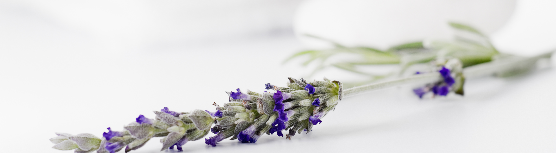 aromaterapia com óleos essenciais